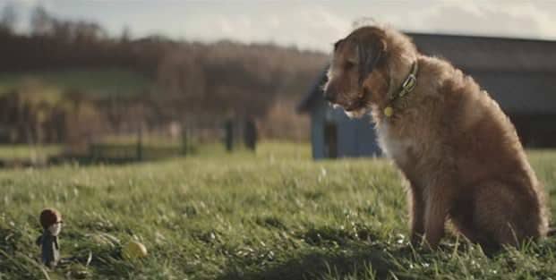 Dogs Trust – YouTube